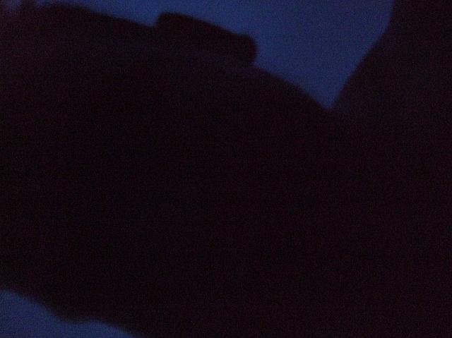 DSCF1317.JPG