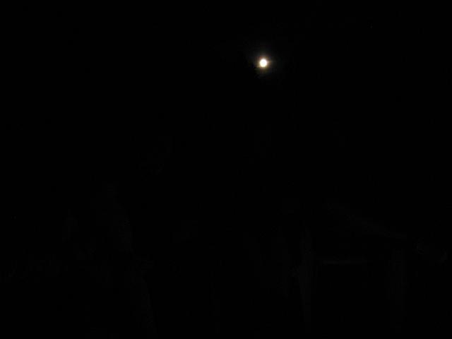 IMG_6316.JPG