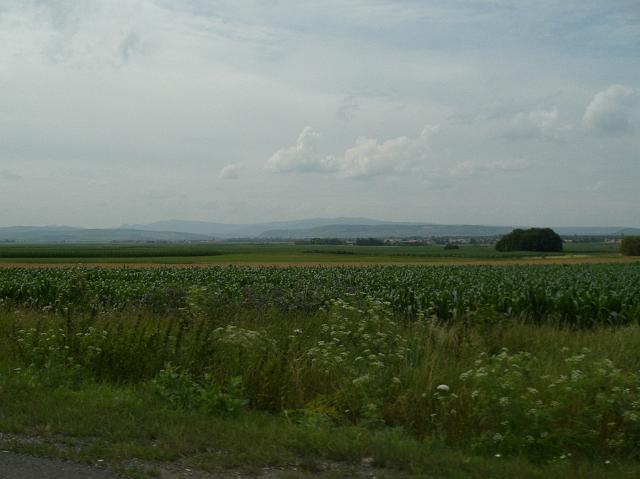 CIMG0404.JPG