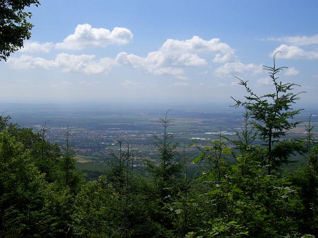 CIMG0456.JPG