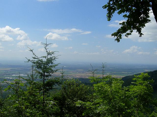 CIMG0458.JPG