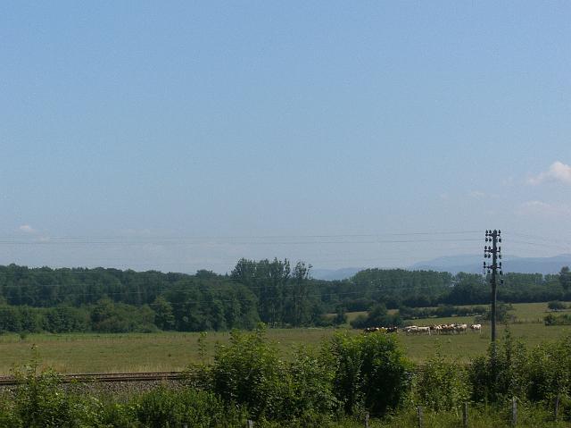 CIMG0549.JPG