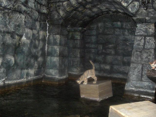 CIMG0663.JPG