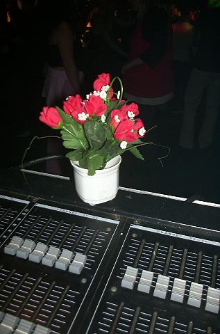 DCP_0764.JPG
