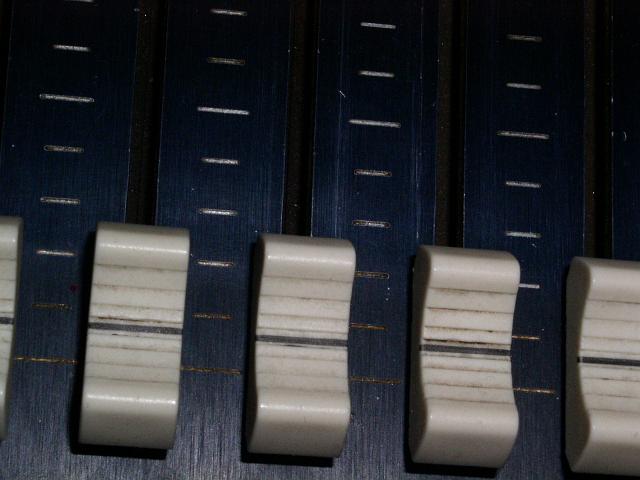 P1010051.JPG