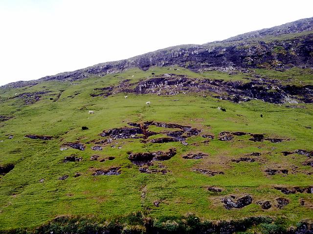 20072009082.jpg