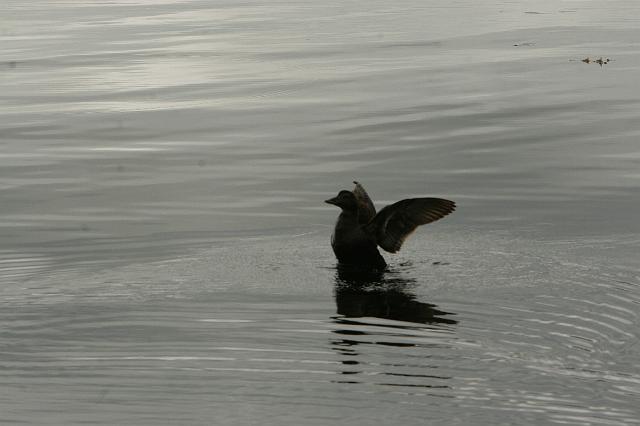_MG_9752.JPG