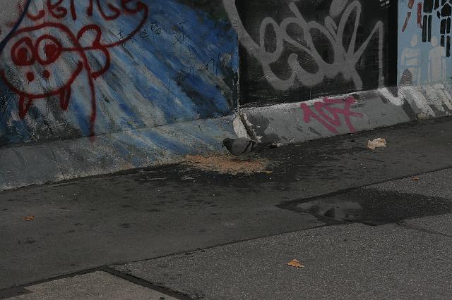 _MG_4019.jpg